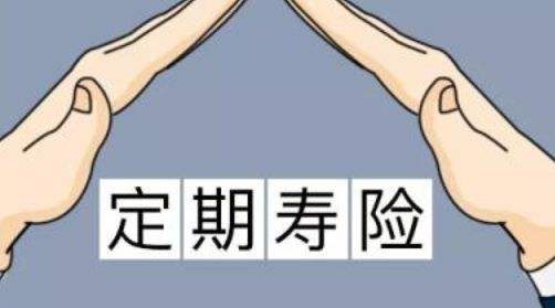 定期壽險(xiǎn)適合什么人？