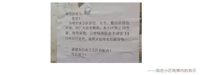 為什么不買保險就不讓養(yǎng)狗？