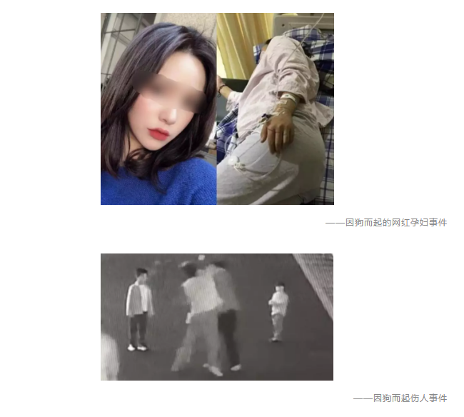 為什么不買保險就不讓養(yǎng)狗？