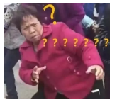 為什么不買保險就不讓養(yǎng)狗？