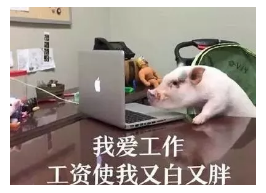 發(fā)生車禍如何快速理賠？