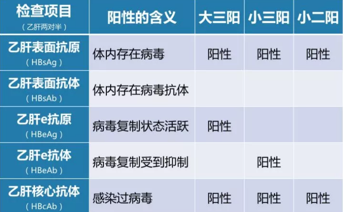 乙肝病毒攜帶者應(yīng)該如何正確投保？