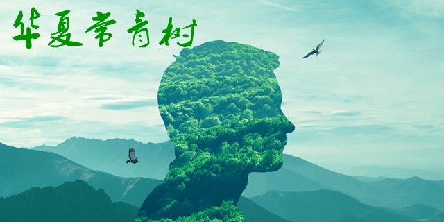 華夏長(zhǎng)青樹怎么樣 優(yōu)劣勢(shì)有哪些？