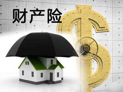 財(cái)產(chǎn)保險(xiǎn)的種類包括哪些？